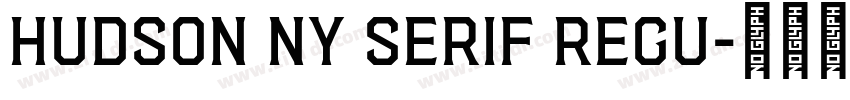 Hudson NY Serif Regu字体转换